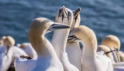 开云·体育官网APP下载-阿森纳遭遇失利！客场落于弱旅之前，阿森纳终于赢了