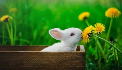 开云·体育官网APP下载-阿森纳遭遇失利！客场落于弱旅之前，阿森纳终于赢了