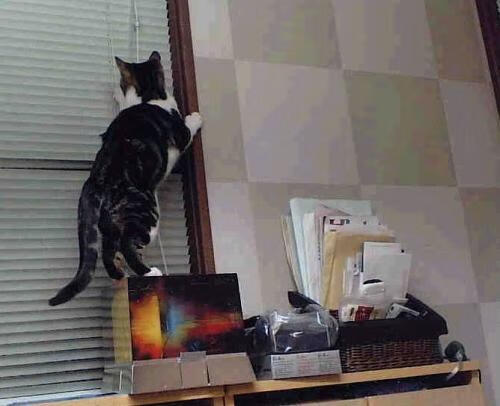 开云官网首页-_环湖骑行节：赏景途中的速度与激情_，环湖自行车赛