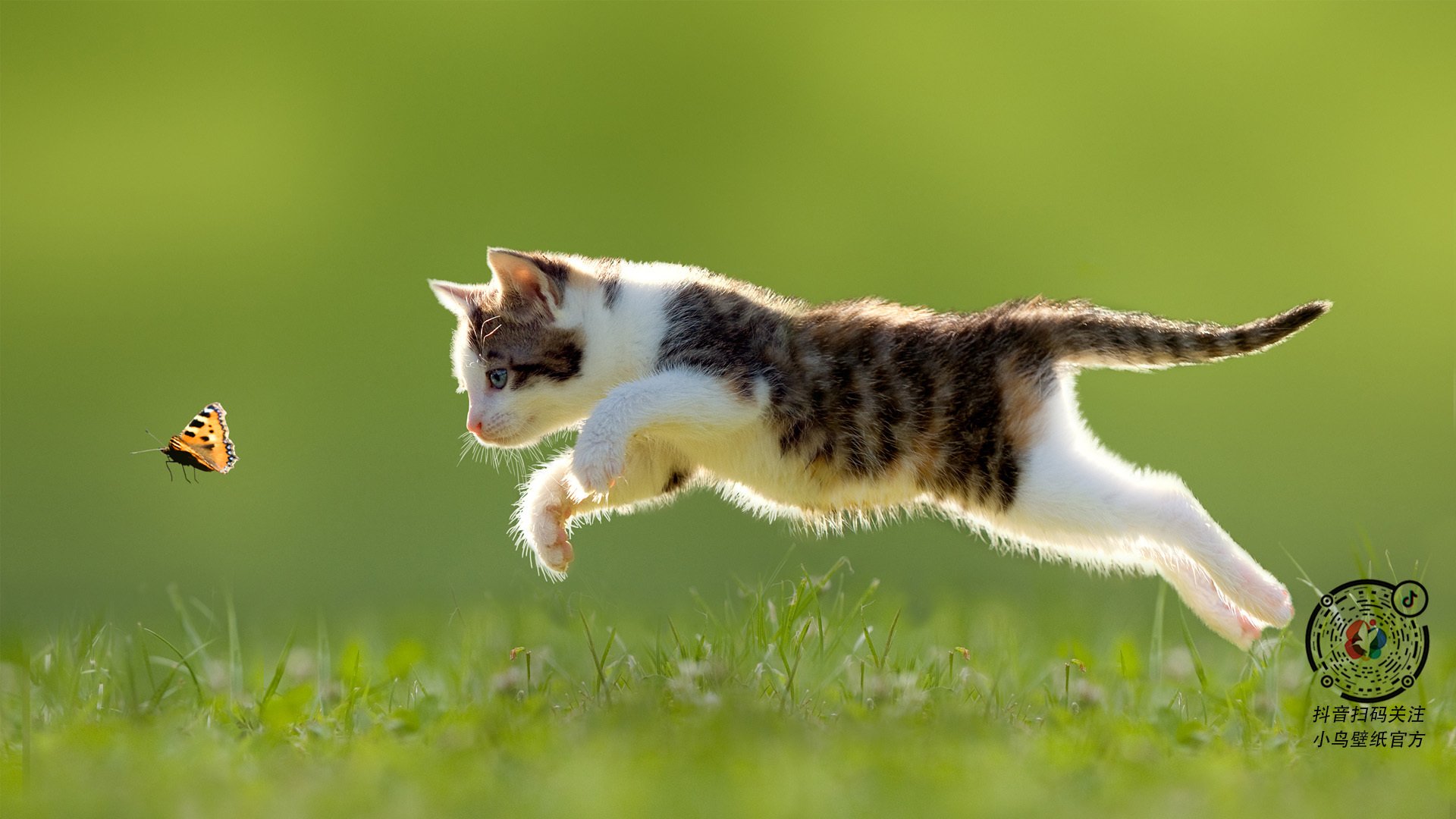 kaiyun中国官方网站-_潜水运动新体验：探索深海中的神秘世界_，潜水运动介绍