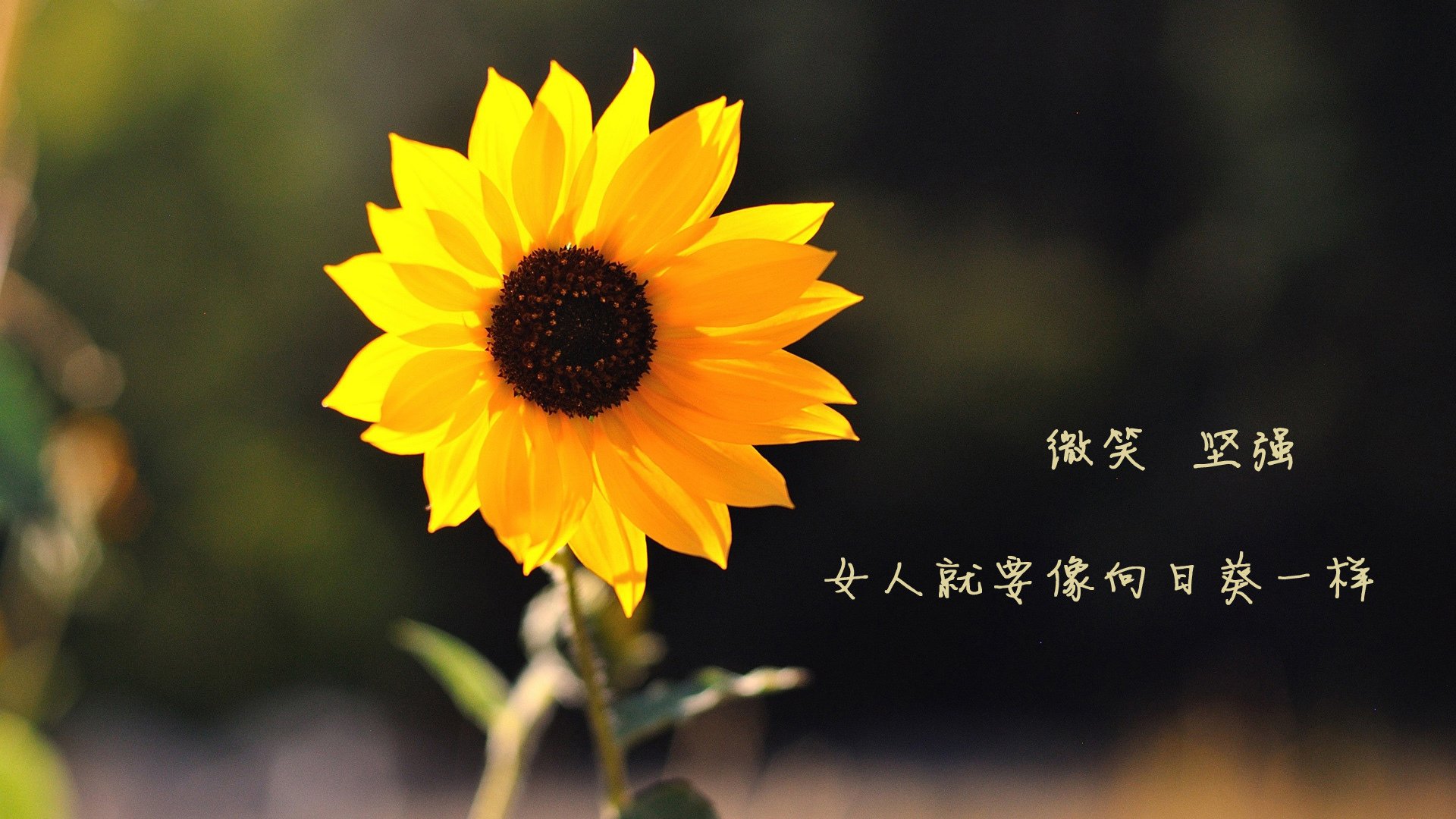 开云中国大陆-“经典比赛重温：那些年我们共同追忆的篮球瞬间”，回忆篮球比赛的句子