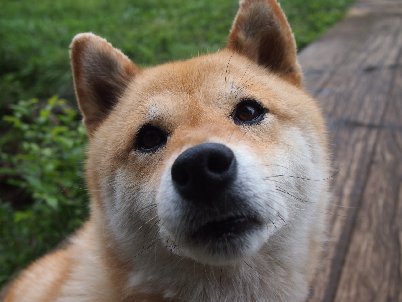 开云官网首页-“法甲冠军争夺激烈，悬念久久难以揭晓”，法甲冠军次数排名最新