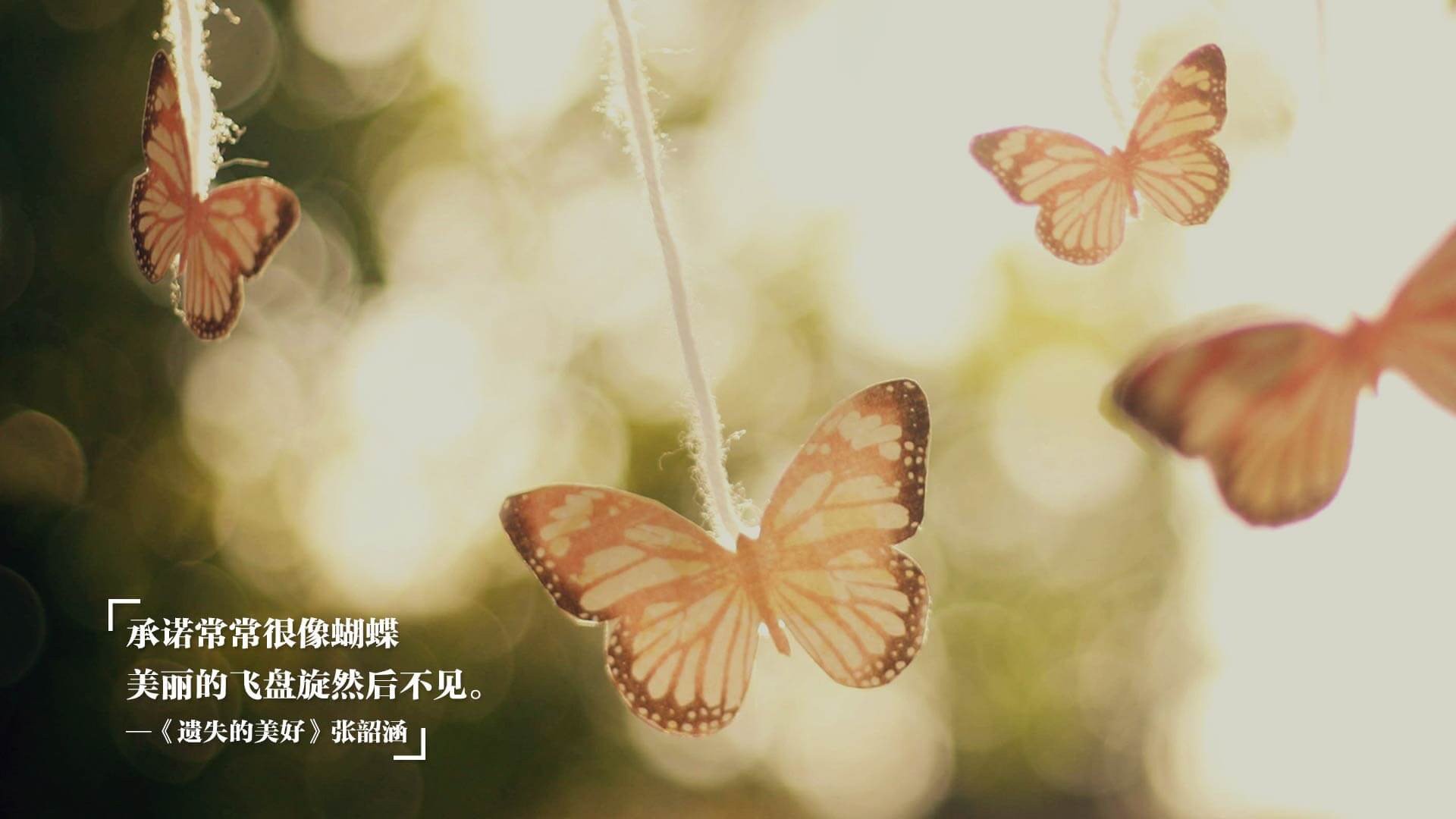 开云-“青春梦想汇”青少年篮球志愿者服务团队在全国多地连续开展公益活动