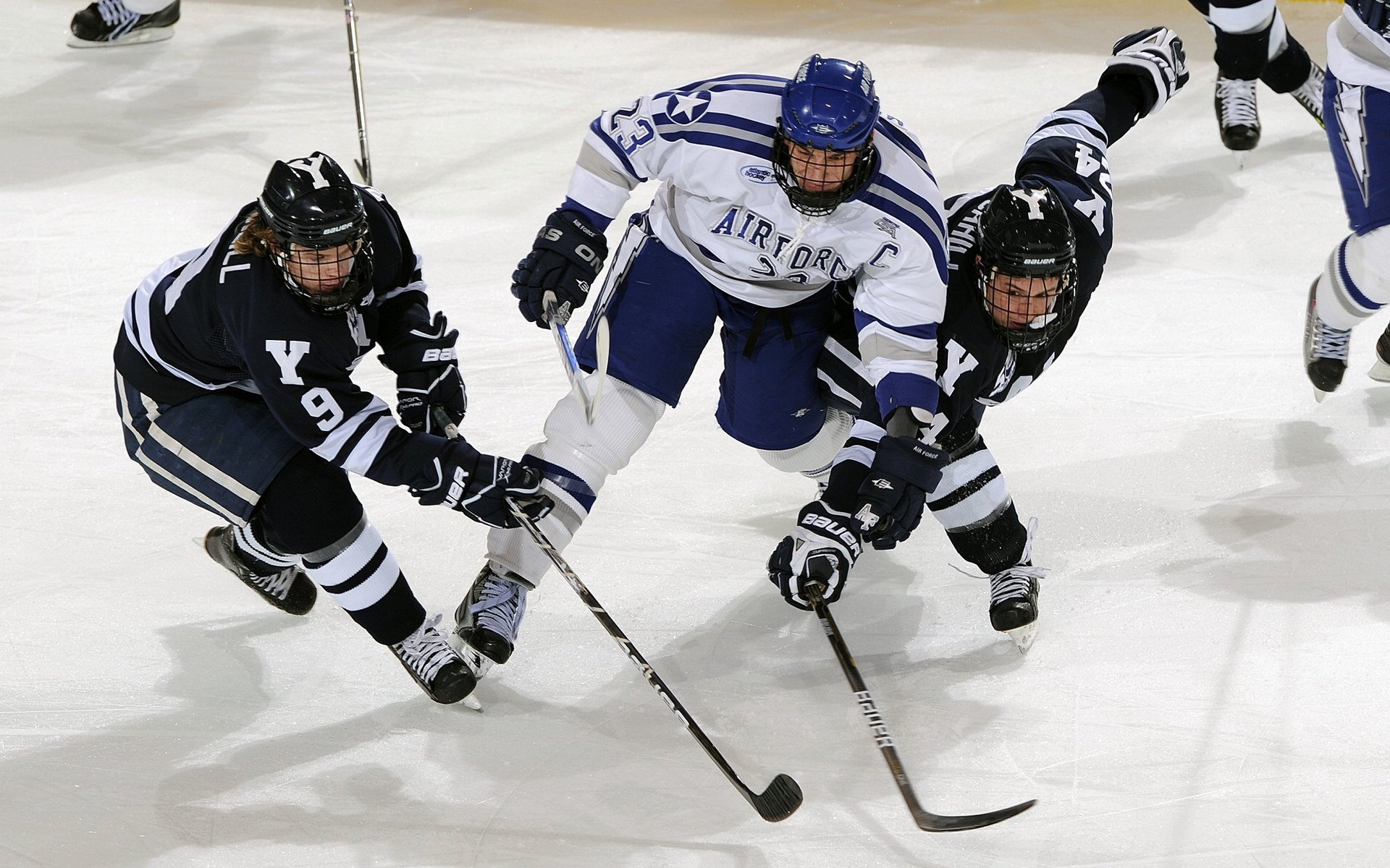 开云全站-《FIFA》电竞世界杯与《NBA 2K》联赛的体育电竞之争，fifa电子竞技世界杯