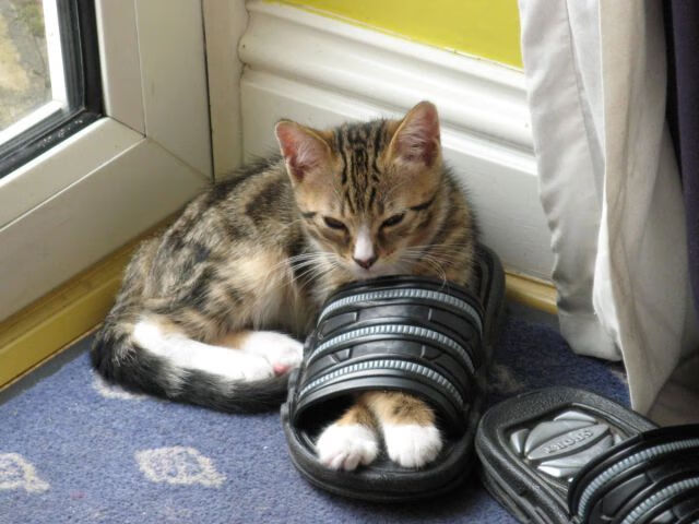 开云网页版登录入口-《Dota 2国际邀请赛，巨星云集震撼全场》，dota2国际邀请赛含金量