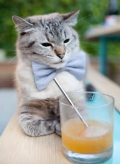 开云官网-中国男篮国家队教练带队探索新战术体系，2021中国男篮国家队教练组