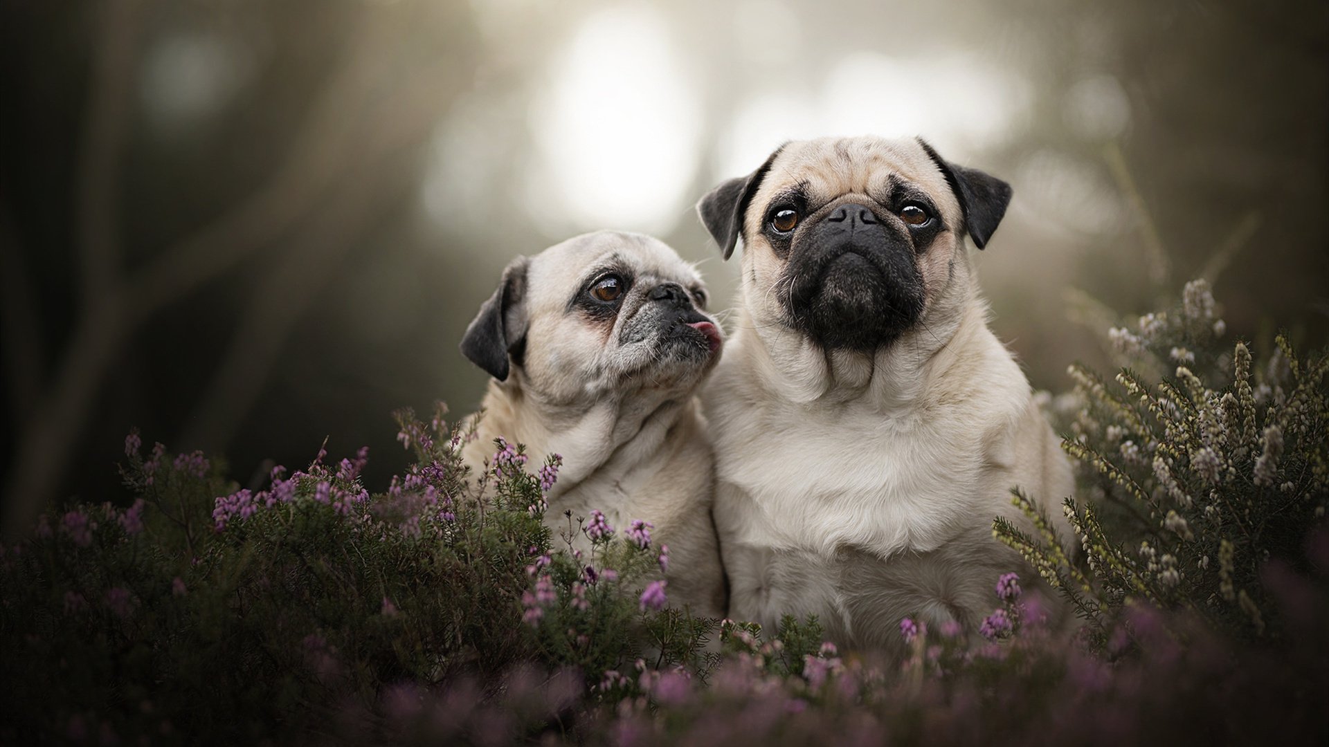 开云网页版-印度选手在标枪、跳远等田径项目中取得优异成绩。，印度标枪冠军什么种姓