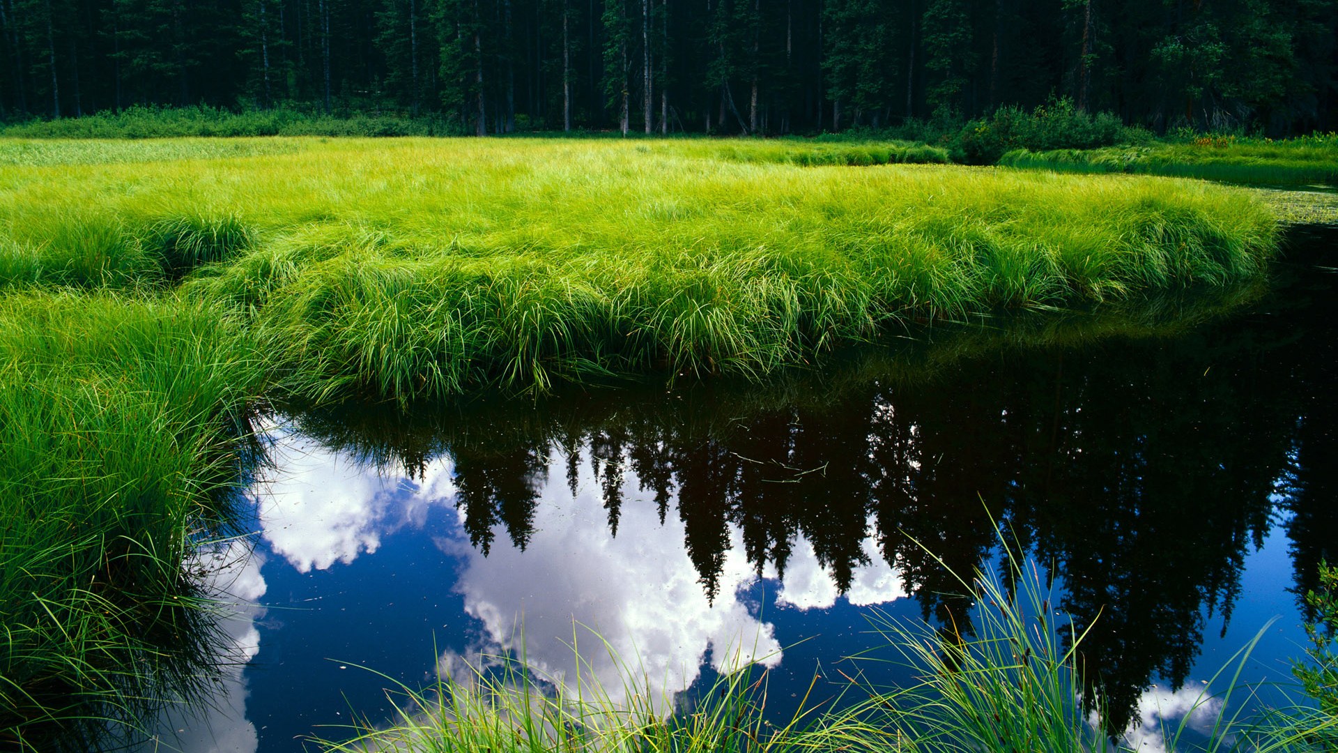 开云体育中国官网-英格兰骑手丽莎·威尔逊在巴黎奥运会盛装舞步比赛中获得第十名，展现出色表现。