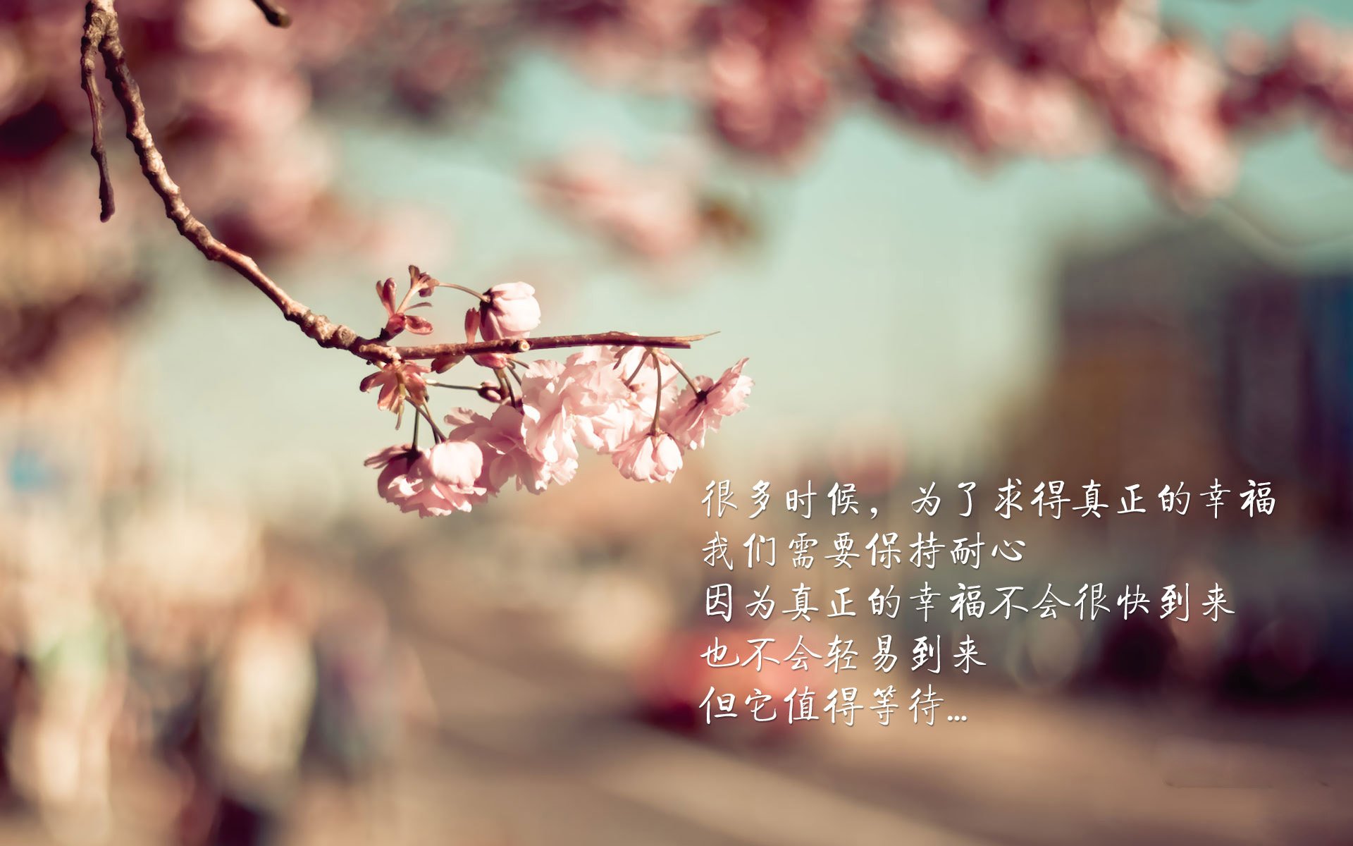 kaiyun-美国马术协会设立“Mustang Challenge”奖学金，支持传统马术研究。，美国马术金牌