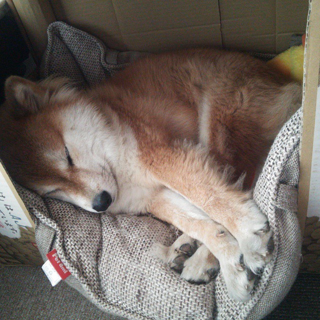 开云-奇才队防守端压力加大，奇才队后卫