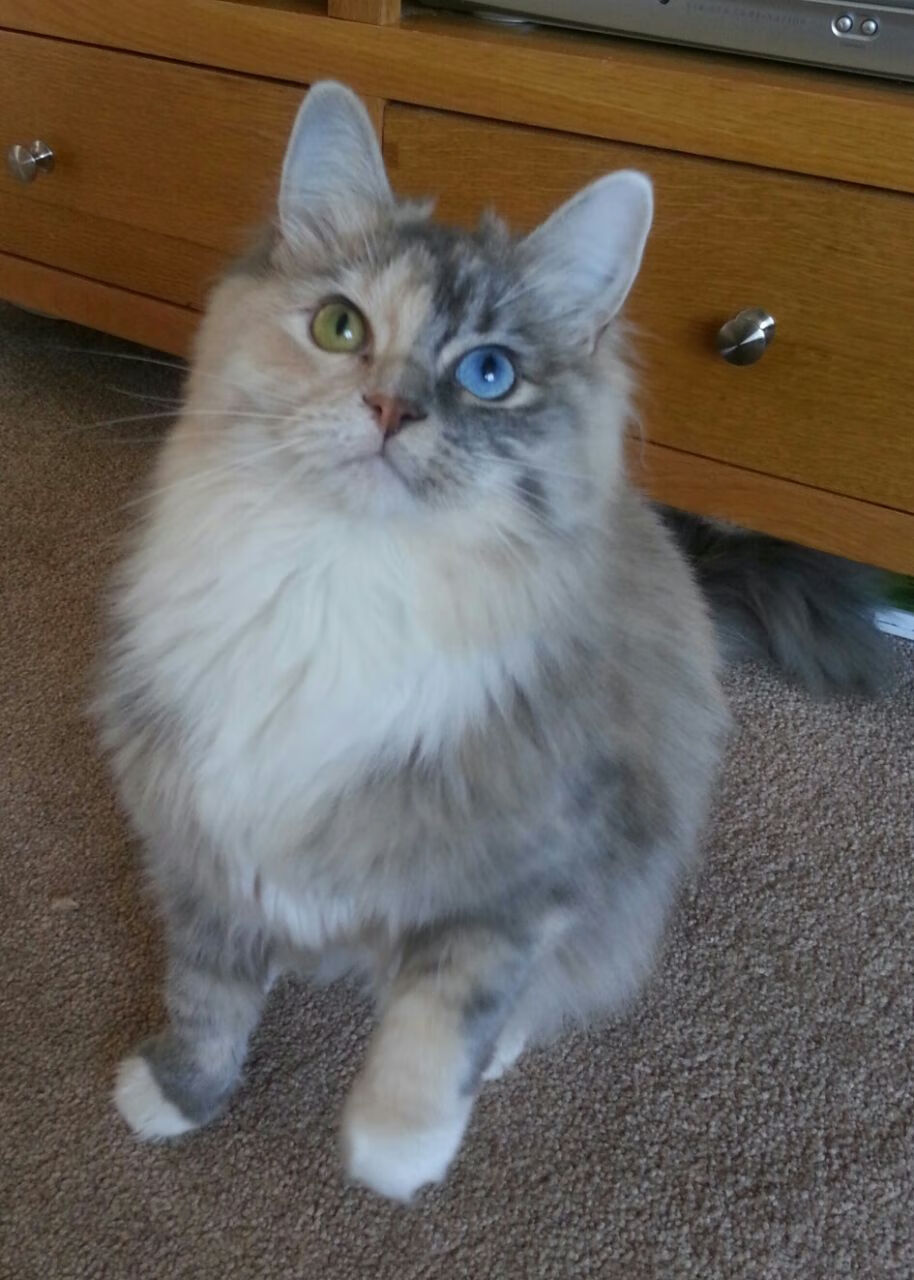 开云官方网站-法国队在欧洲杯小组赛中仅以小组第二身份出线，法国队公布欧洲杯大名单