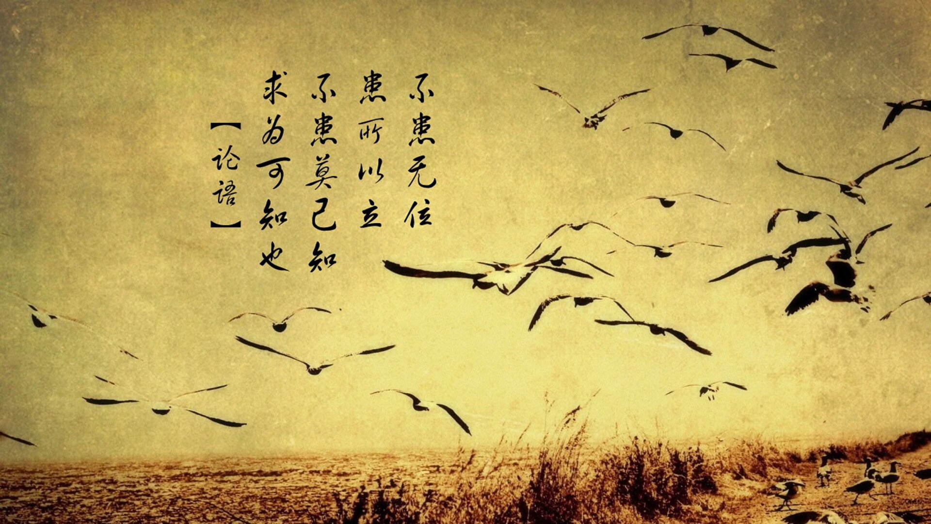 开云官网APP下载-阿尔阿赫利防守体系稳定可靠，阿尔阿赫利埃及