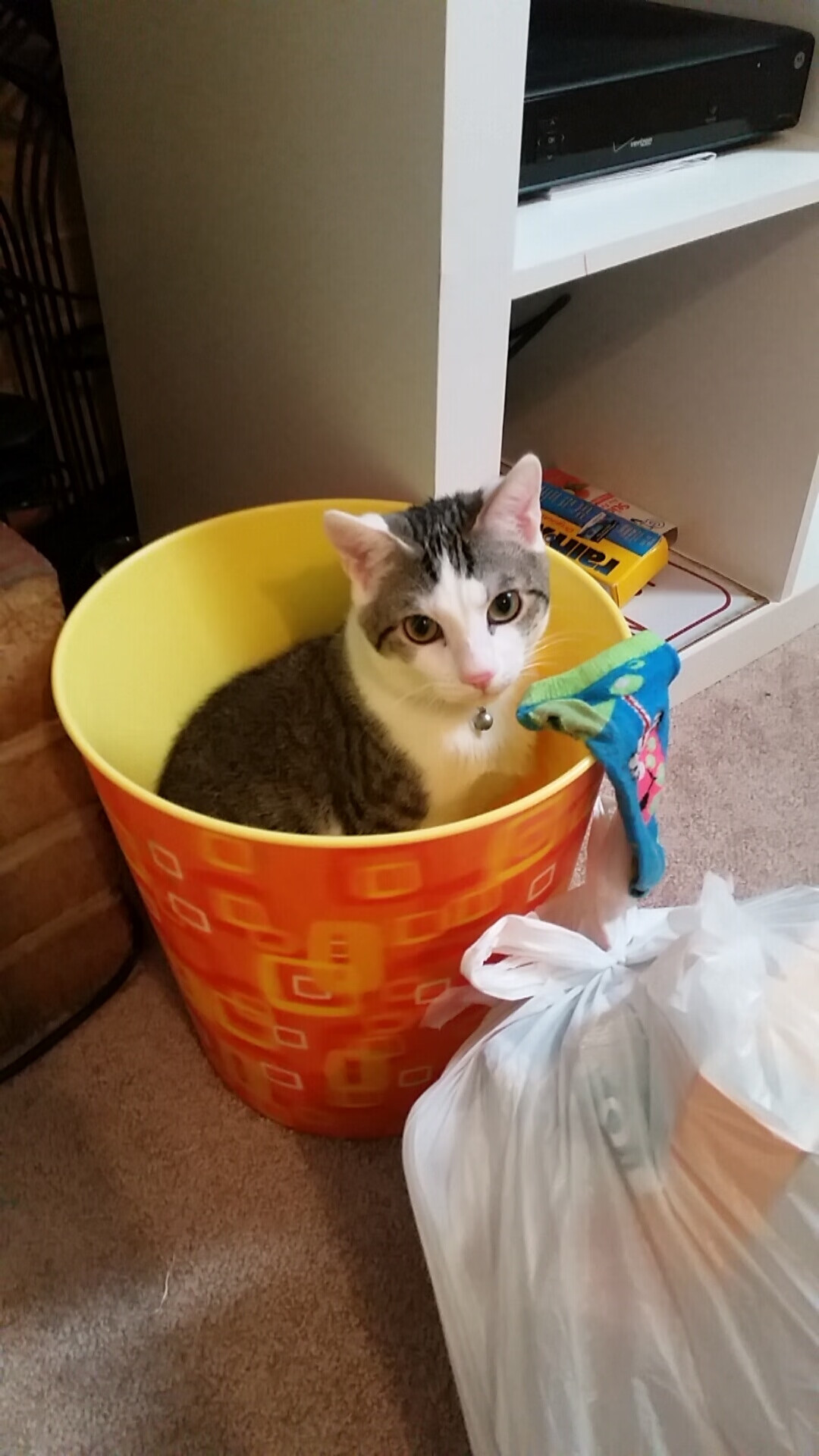 开云电竞入口-独行侠强调轮转深度助力稳定输出，独行侠打法